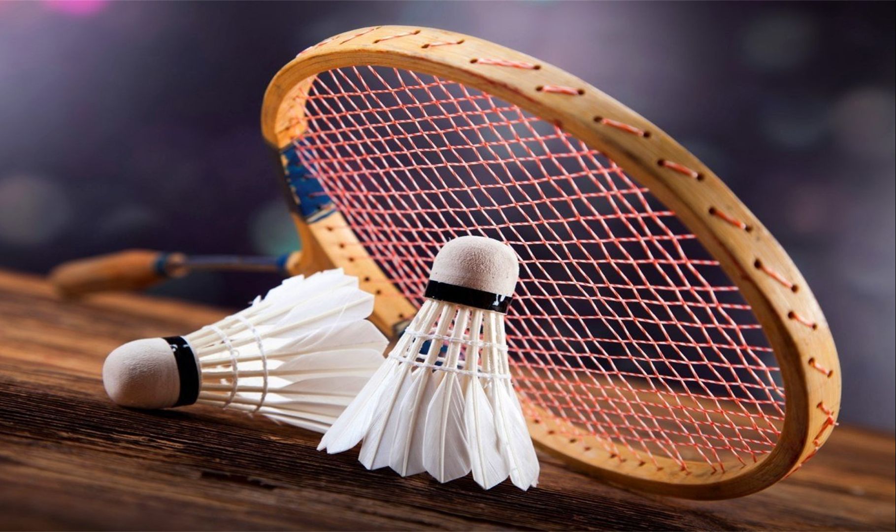 并非盲目 并非盲目