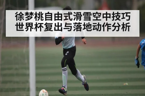 徐梦桃自由式滑雪空中技巧世界杯复出与落地动作分析